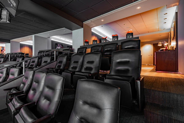Summer Walker Private Suite Experience