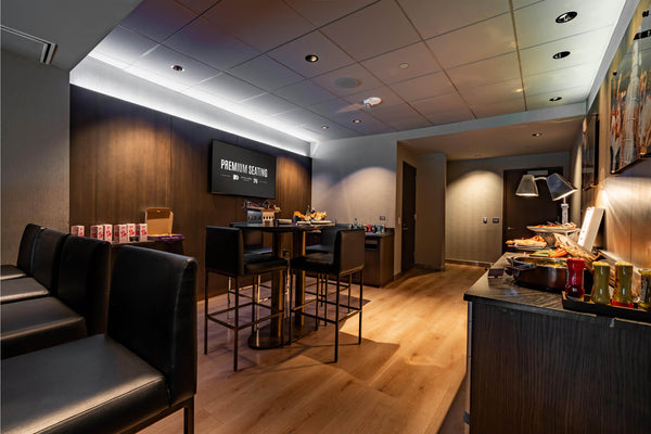 Summer Walker Private Suite Experience